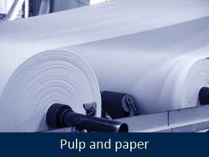 Pulp and paper