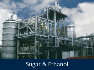 Sugar & Ethanol